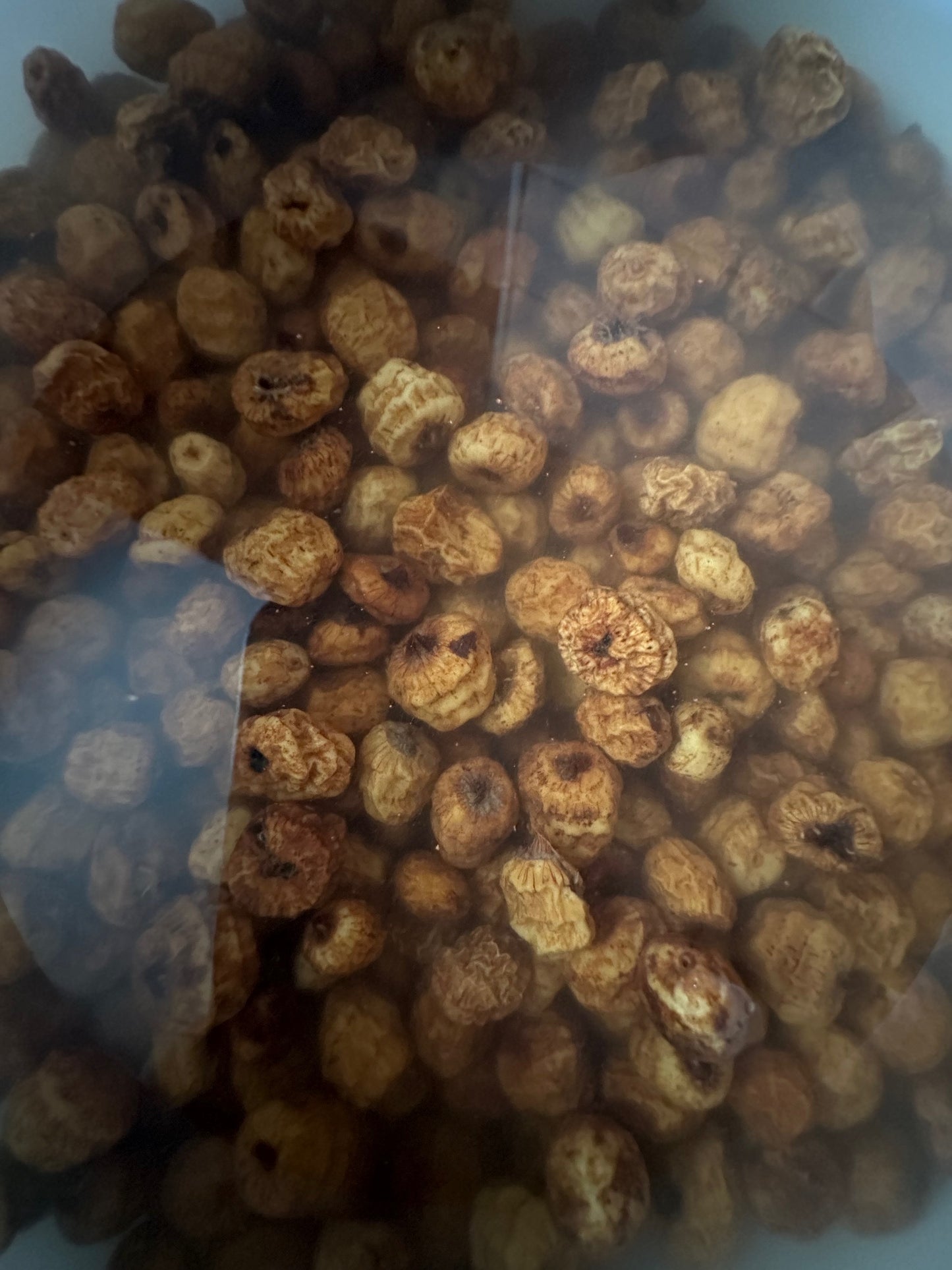 Whole Tiger Nuts (Chufa), Raw Dried Tigernuts for Snacking, Soaking & Cooking, Naturally Sweet, Unsweetened Culinary Ingredient, Product of Ghana, 8 oz