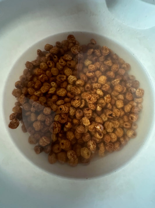 Whole Tiger Nuts (Chufa), Raw Dried Tigernuts for Snacking, Soaking & Cooking, Naturally Sweet, Unsweetened Culinary Ingredient, Product of Ghana, 8 oz